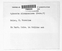 Hercospora circumscissa image